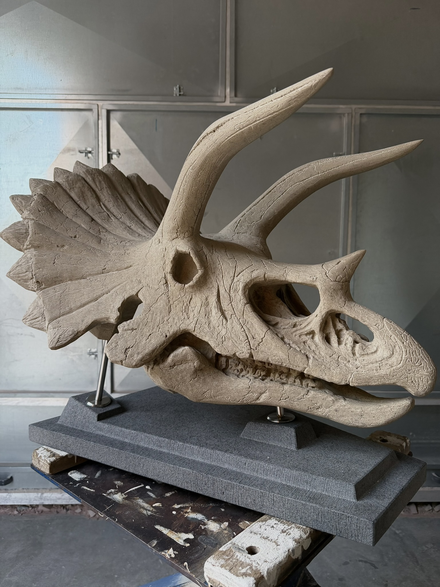Triceratops-Schädel, Bildhauerarbeit von Florian Weber – Aufnahme 1 von 2